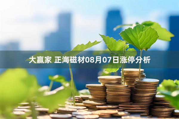 大赢家 正海磁材08月07日涨停分析