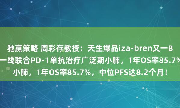 驰赢策略 周彩存教授：天生爆品iza-bren又一BIC疗效数据重磅公布：一线联合PD-1单抗治疗广泛期小肺，1年OS率85.7%，中位PFS达8.2个月！