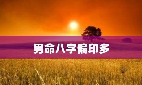 男命日坐偏印看另一半,日支偏印配偶有钱富裕图3